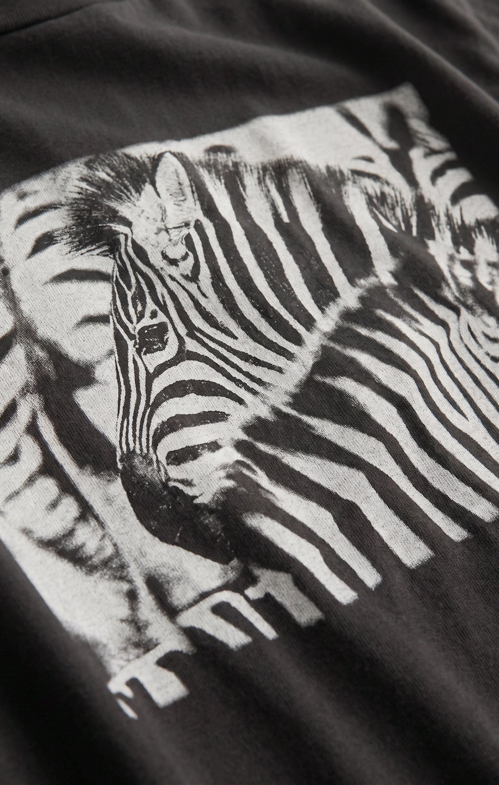 Zebra Graphic Boyfriend Tee