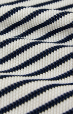 Ainslie Stripe Midi Skirt